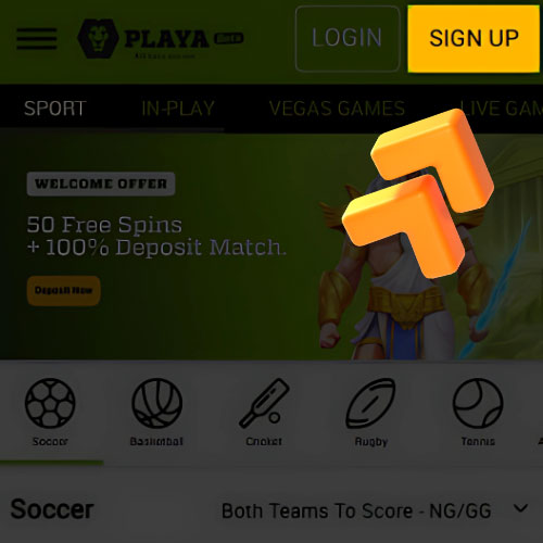 Instruction Playabet registration